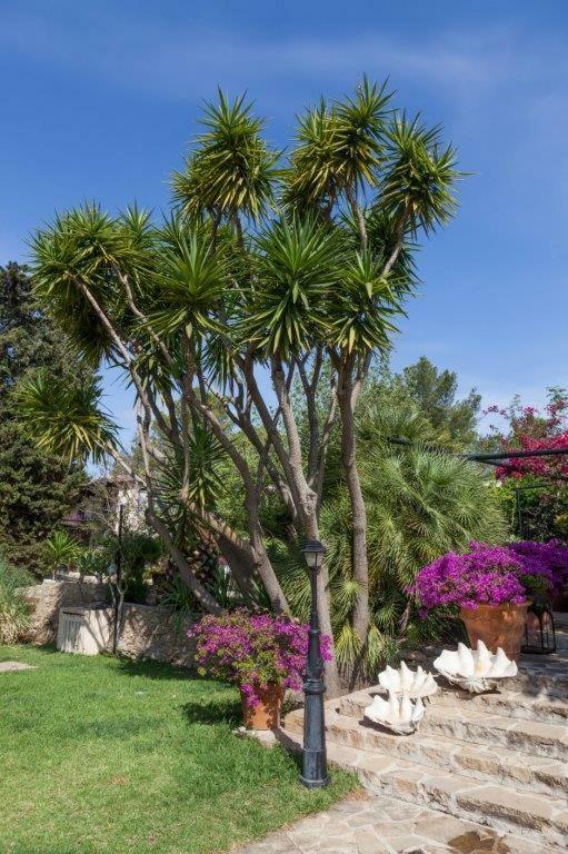 Hotel Rural Cas Pla (Adults Only) Sant Miquel de Balansat Exterior foto